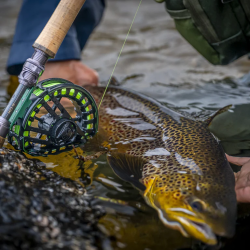 Muškařský prut Vision XO III