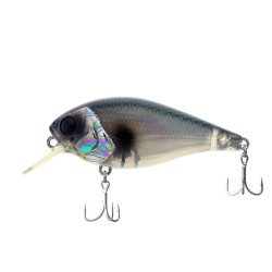 Wobler Biggie 67 River2Sea
