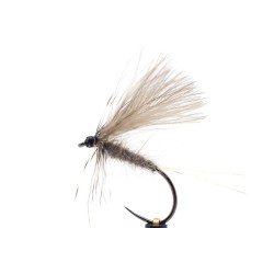 Šedá grizzly jepice