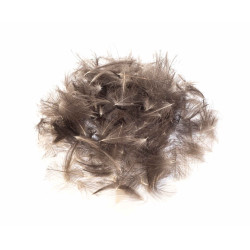 CDC peří z divokých kachen z ČR (1 g)