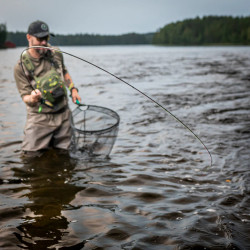 Muškařský prut Vision Nymphmaniac