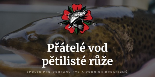 Spolupráce se spolkem Přátelé vod pětilisté růže 