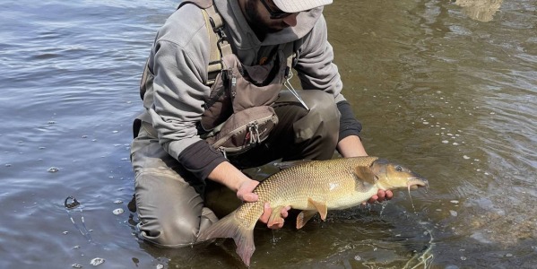 Největší překvapení roku 2021 - Vltava 24