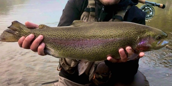 Podzimní streamer na Vltavě 24